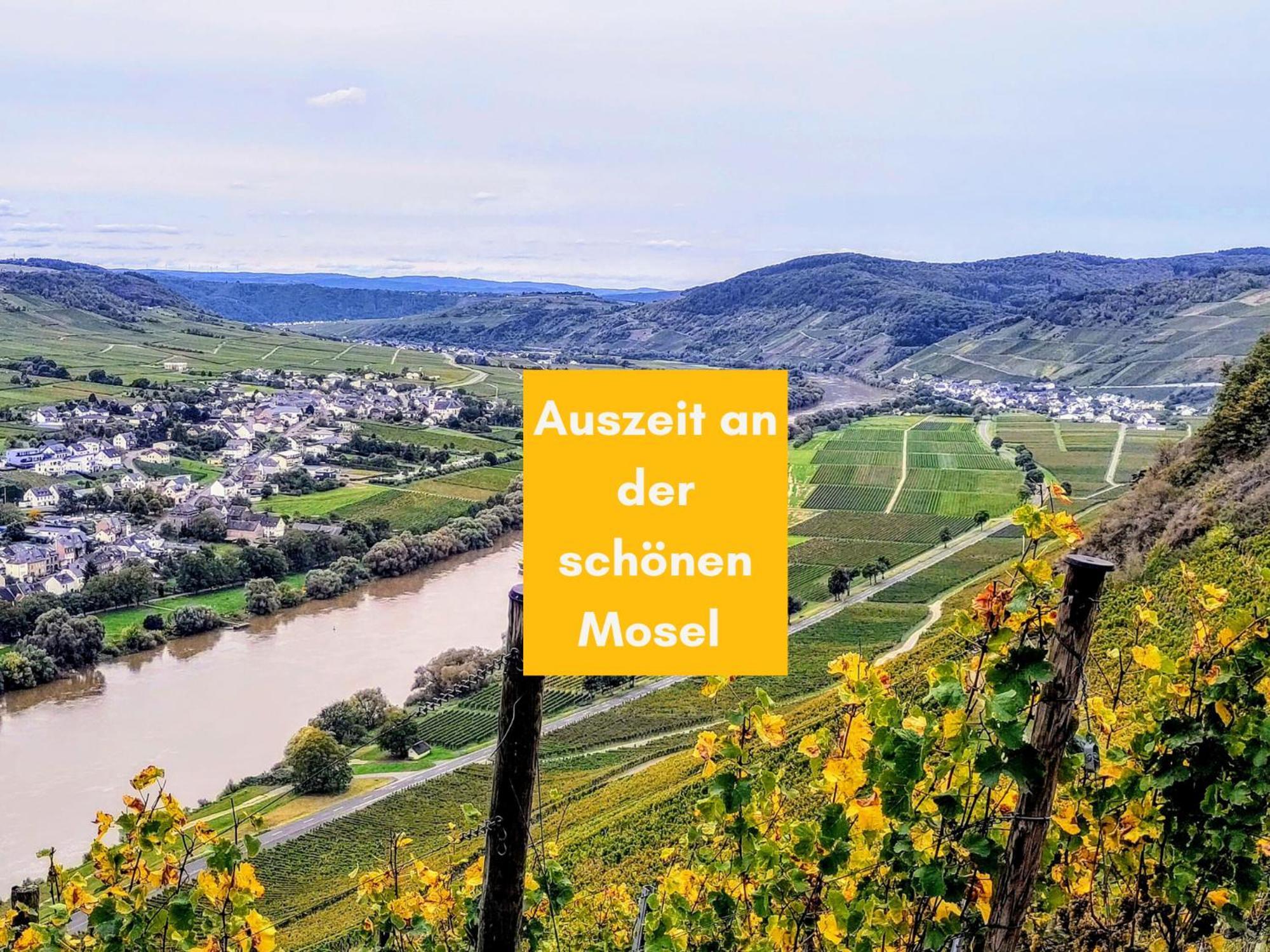 Komfort Fewo L Moselstay L Maximal 4 Personen Und Baby I Brauneberg Mosel I Wifi I Exterior photo